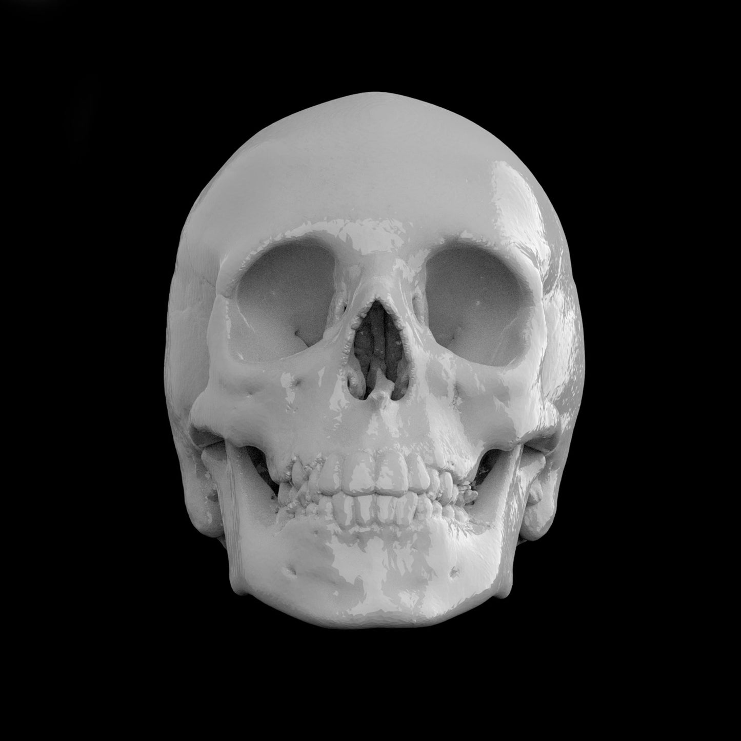 Cotofana’s Skull – Limited Edition